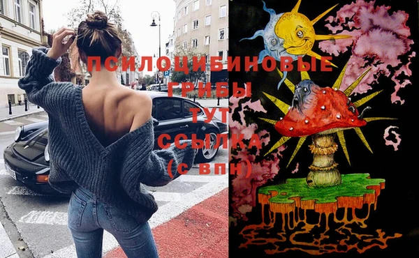 бошки Аркадак